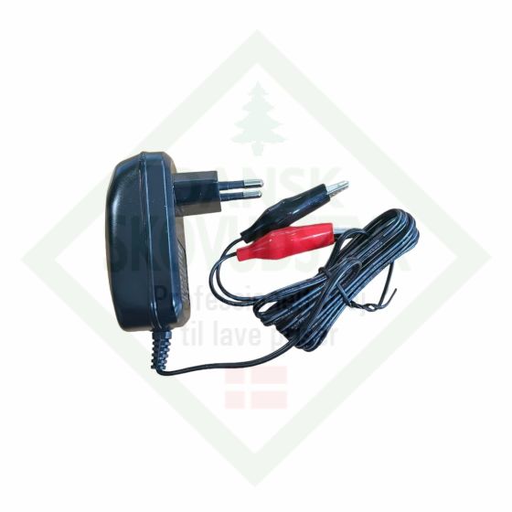 12V Ladegerät für Rückenspritze